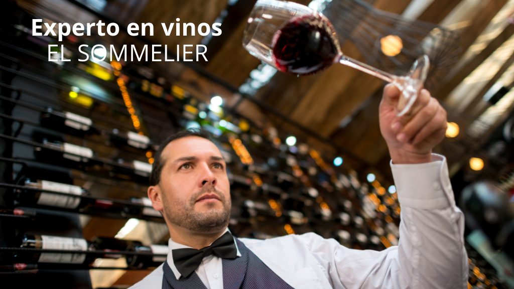 Curso de Experto en Vinos: El Sommelier
