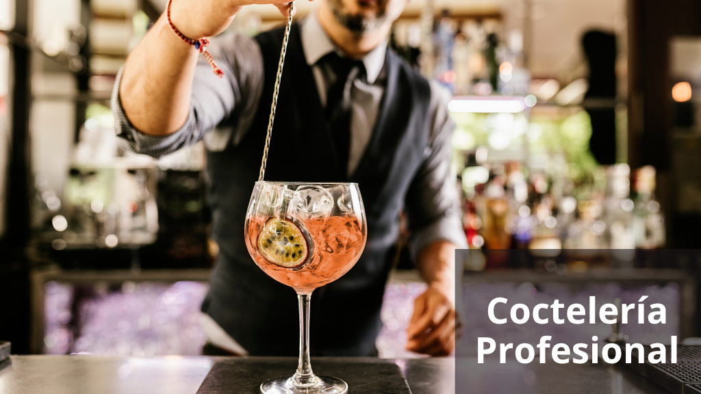 Curso de Coctelería Profesional