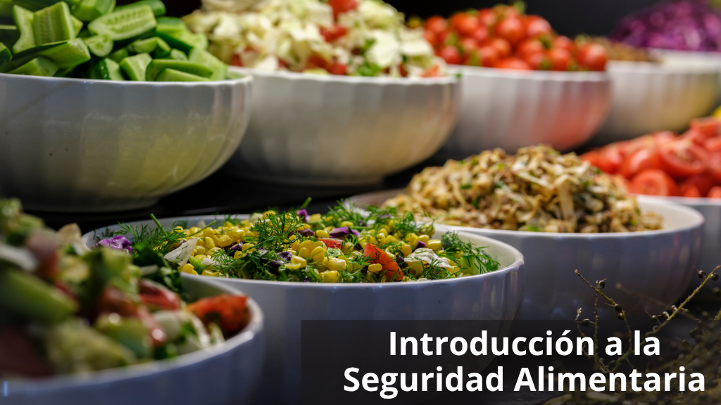 Curso de Introducci&oacute;n a la Seguridad Alimentaria