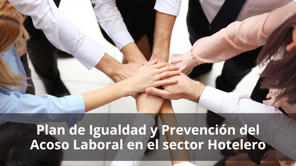 Curso de PLAN DE IGUALDAD Y PREVENCI&Oacute;N DEL ACOSO LABORAL
