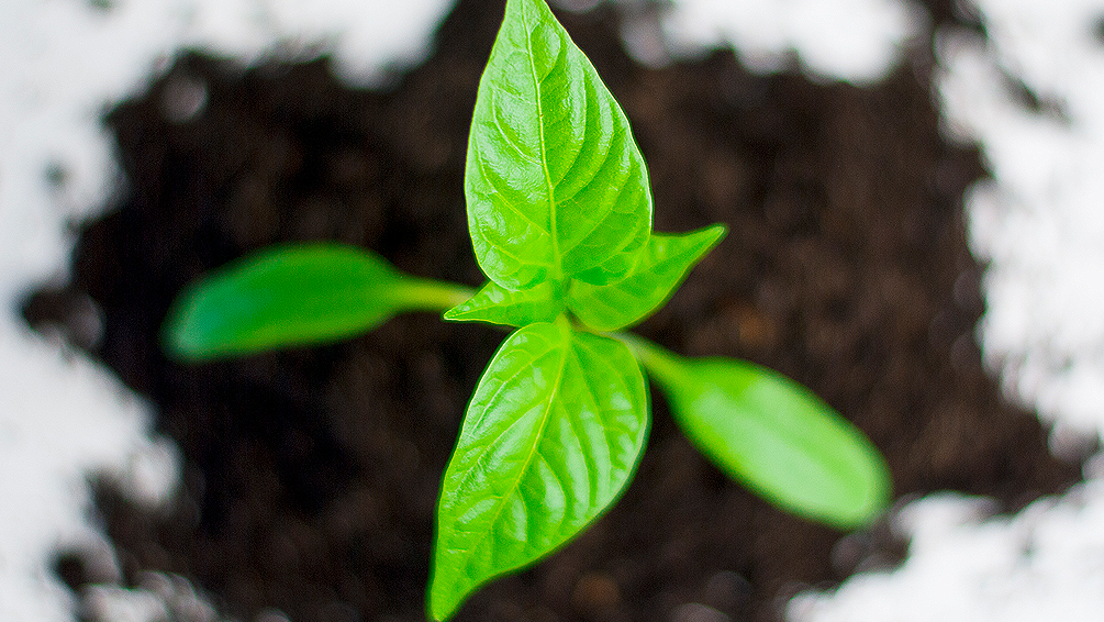 Curso de Creación de empresas