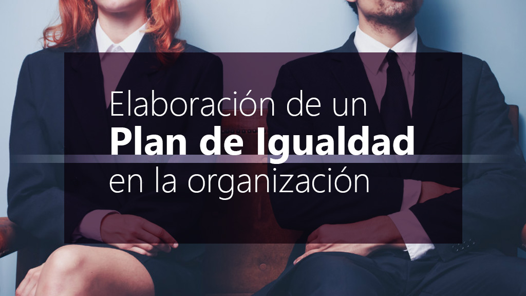 Curso de Elaboración plan de igualdad en la organización