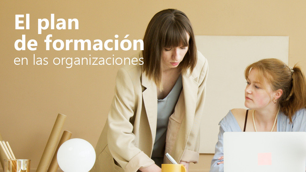 Curso de El plan de formación en las organizaciones