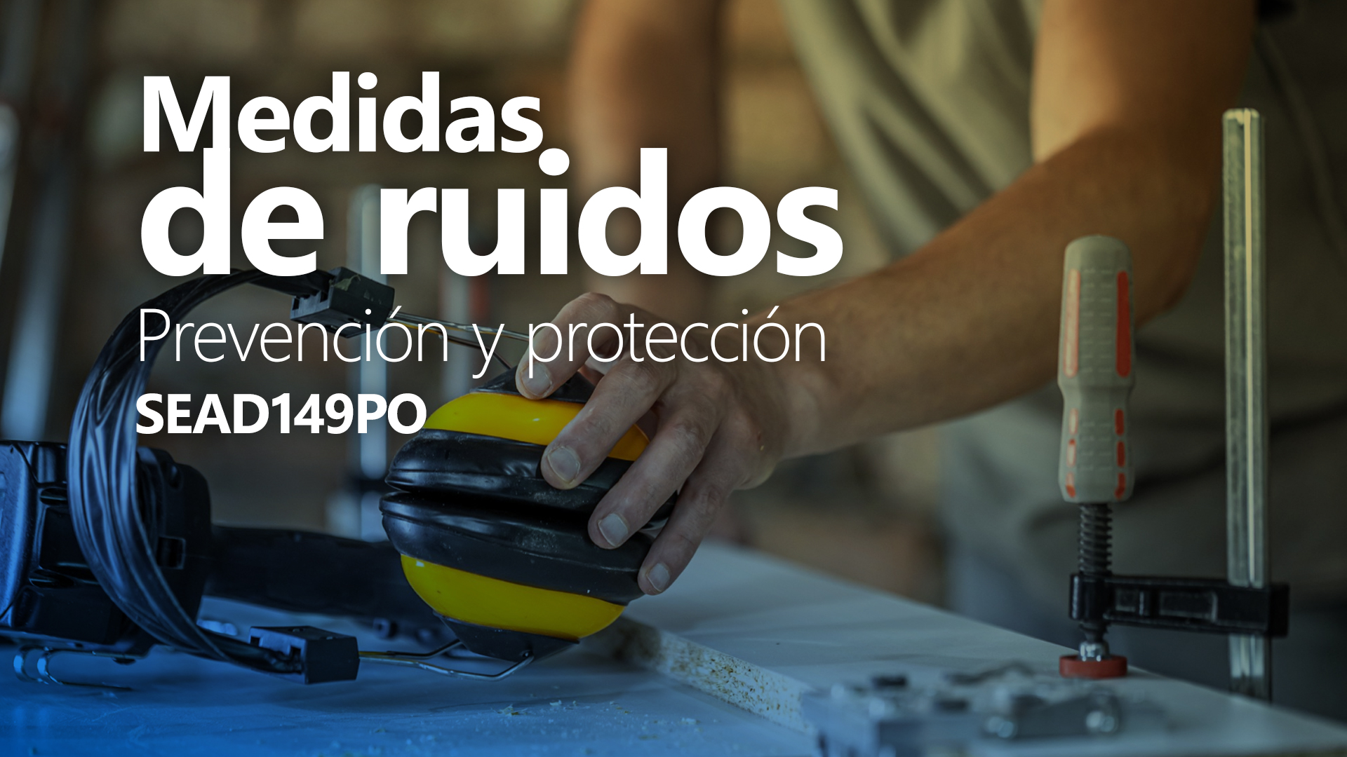 Curso de Medidas de ruidos, prevenci&oacute;n (SEAD149PO)