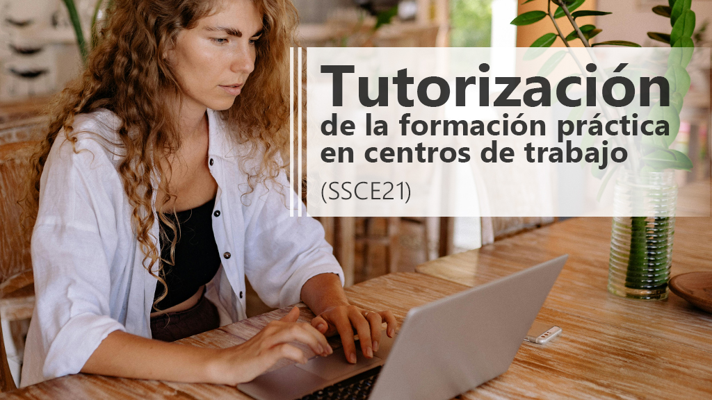 Curso de Tutorización de la formación práctica (SSCE21)
